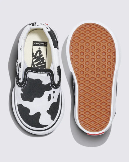 6.0 Toddlers
