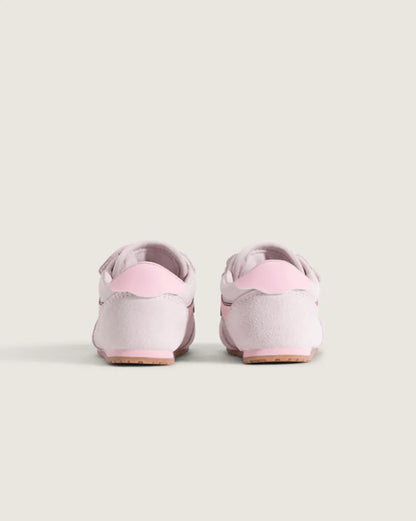 5.5 Toddler